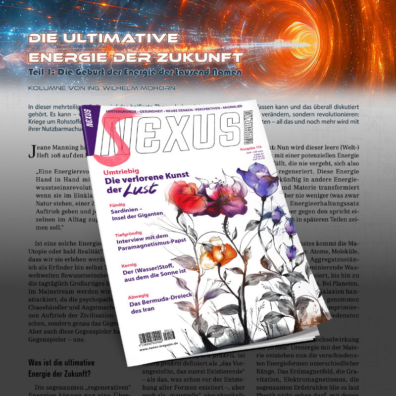 Nexus 113 Artikel Titelbild